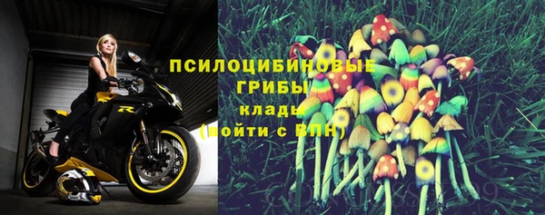 альфа пвп Нея