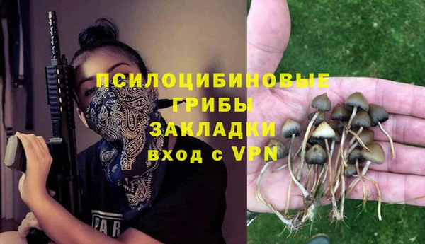 альфа пвп Нея