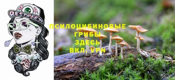jwh Нефтекумск