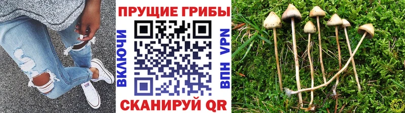 Галлюциногенные грибы MAGIC MUSHROOMS  Иланский 